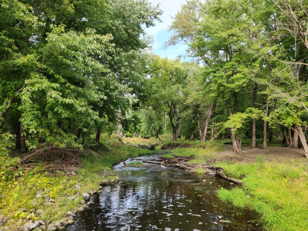 Creek in Minnesota Wildlife Preserve